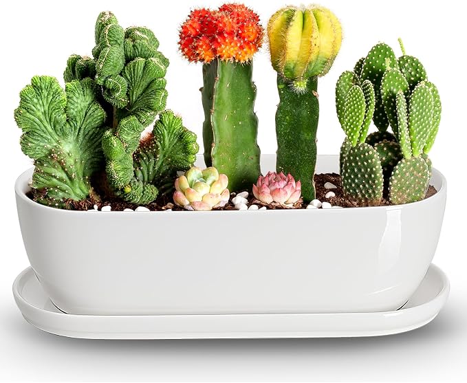 E-liu Oval Ceramic Planter Pot by Creatingwarmandrefinedlifestylekitchenandhomeessentials