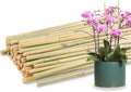 50Pcs / 16 inch Bamboo Plant Stakes by Avalution