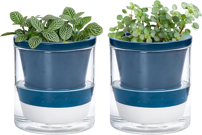 D'vine Dev 4 Inch Design Self Watering Planter by DvineDevPlanterPotsandStand