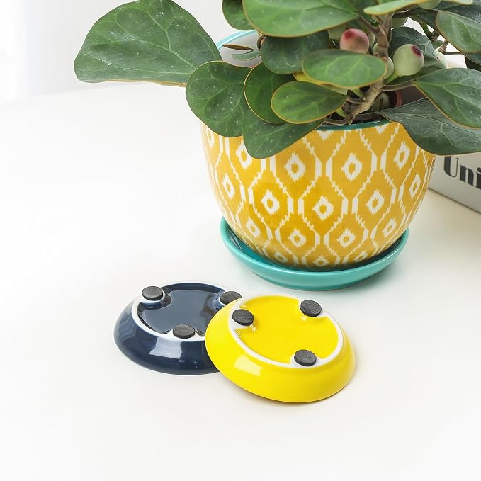 Selamica Ceramic Succulent Pots - Image 7