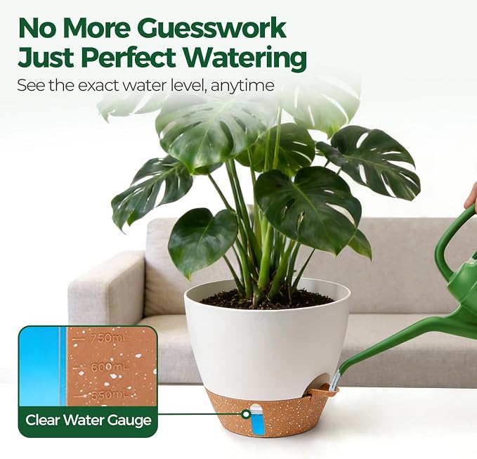 2 Pack 10 Inch Self Watering Pots - Image 7