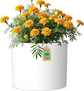 10 Inch Round Plastic Plant Pot by WSMKSZ