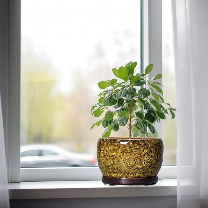 SQOWL Ceramic Flower Pots - Image 4