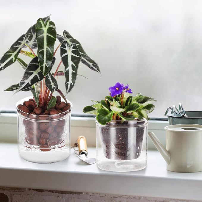 4 Inch Self Watering Pot, African Violet Pot, Bottom Watering Glass Planter - Image 4