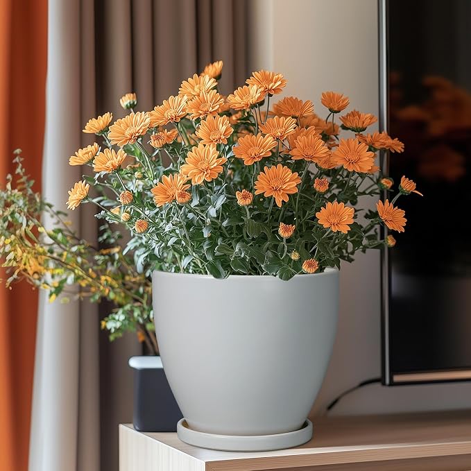 Ceramic Pots for Plants - Image 2
