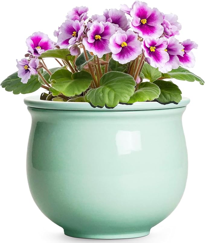 6 Inch African Violet Pots, Ceramic Self Watering Planter by Teagas