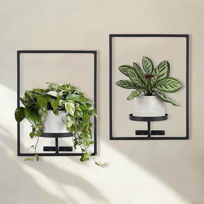 Sisher Plant Stand Indoor Outdoor, Window Plant Shelf Picture Frame Wall Plant by GetHightQualityBeddingComforterSetforYourRoom