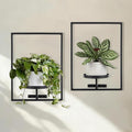 Sisher Plant Stand Indoor Outdoor, Window Plant Shelf Picture Frame Wall Plant by GetHightQualityBeddingComforterSetforYourRoom