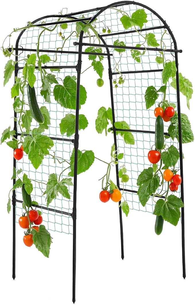 Lalahoni Garden Arch Trellis for Climbing Plants Outdoor, 80 Inch Tall Grape by Thereasonyoulovegardening