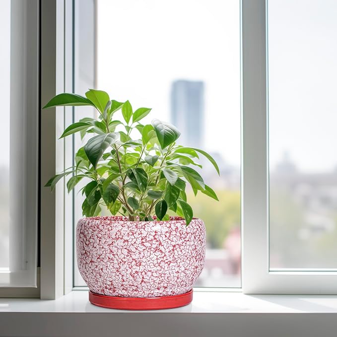 SQOWL Ceramic Planters for Indoor Plants - Image 4