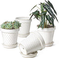 LE TAUCI Ceramic Plant Pots, 6 Inch Flower Pot by LETAUCI