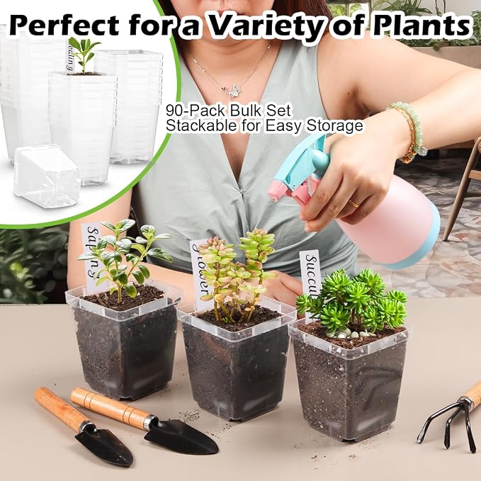 3.3 Inch Clear Nursery Pots - Image 7