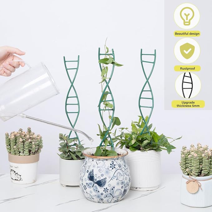 Indoor Plant Trellis - Image 6