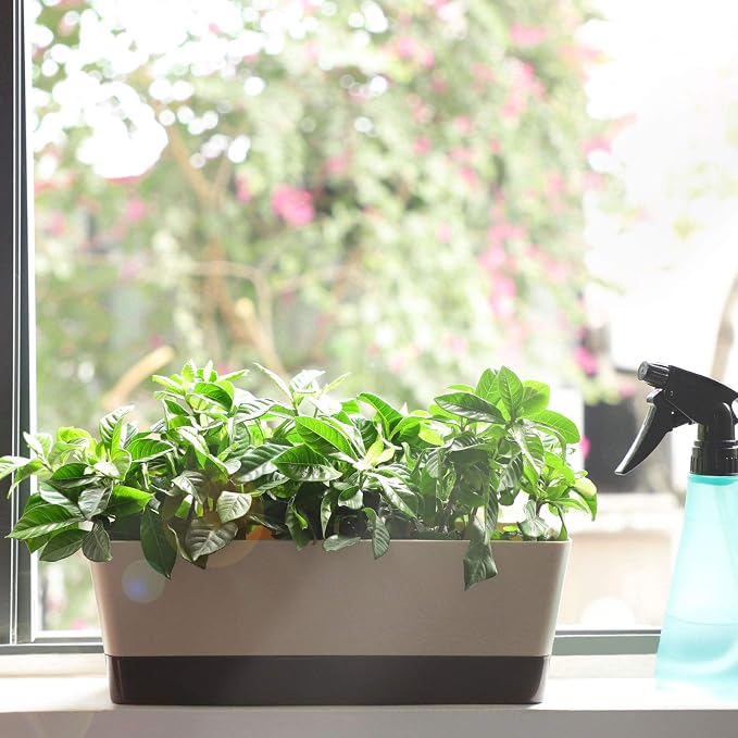 GREANER Planter Windowsill Box, 1 Pack 12x3.8 Inch Herb Rectangle Planter - Image 8