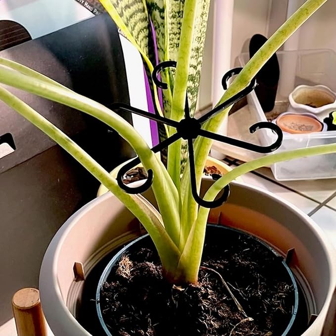 4Pcs Plastic Plant Climbers Stem Holders, 2 Sizes Reusable Flower Plant Stakes - Image 3