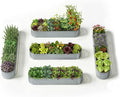 5-Pack 18” Tall Galvanized Raised Garden Beds – Everyday Kitchen Garden Layout by Annoell
