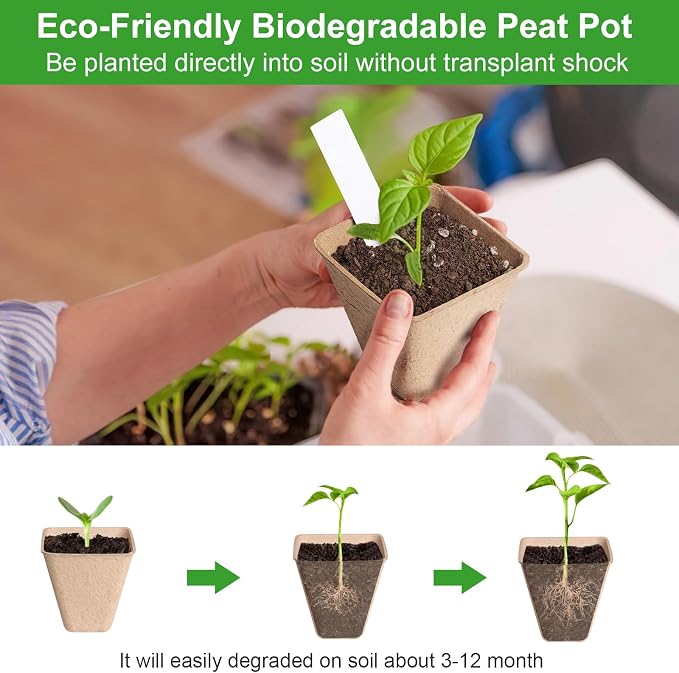 Square Peat Nursery Pots 150 Pcs 3in Biodegradable and Label, Used - Image 4