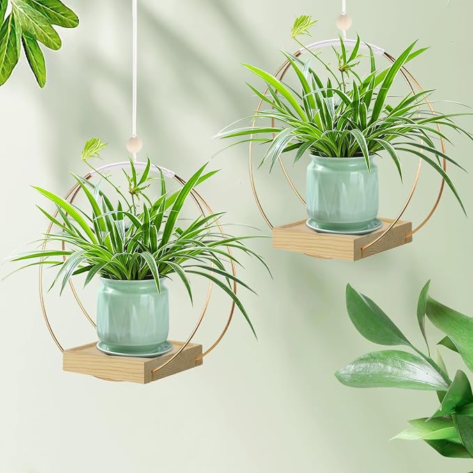 Hanging Planter for Indoor Plants, Plant Hanger - Image 6