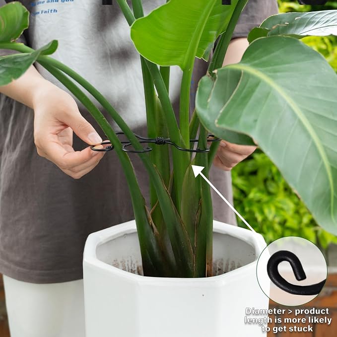 Black Monstera Plant Support Hook - Image 4