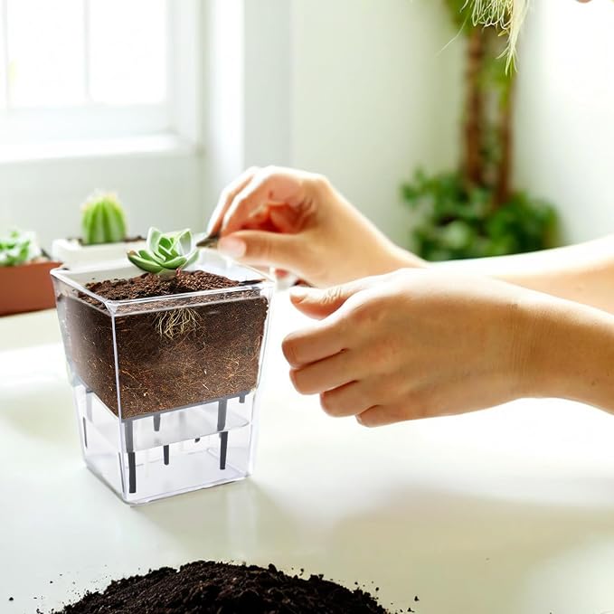 Self Watering Pots Set, 3 Pack 2.7 Inch Pots - Image 8