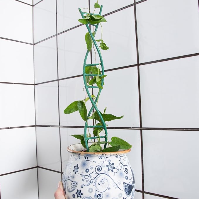 Indoor Plant Trellis - Image 7