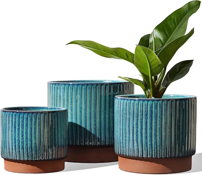 LE TAUCI Ceramic Plant Pots by LETAUCI