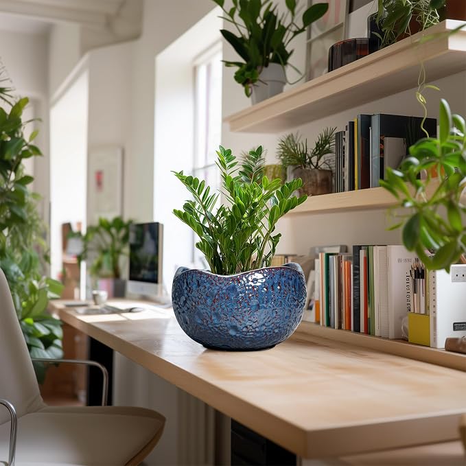 10 Inch Plant Pot - Image 3
