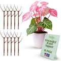 Stackable Plant Support Stakes, Indoor & Outdoor Houseplant Stem Support by TwigsGardenAccessories