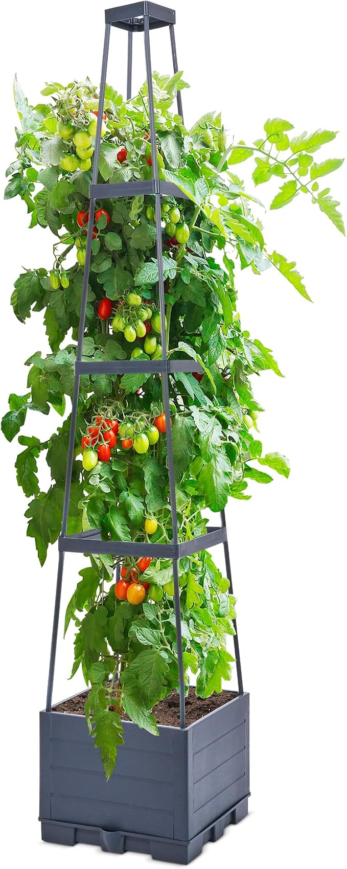 GENMOUS 4 Tiered Tomato Planter by GenMousCo