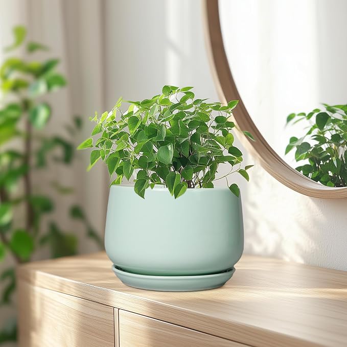 G EPGardening Ceramic Plant Pots - Image 6