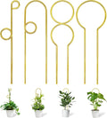 14.17in Plant Trellis Indoor, 4.2mm Dia Gold Small Trellis by Xeeol