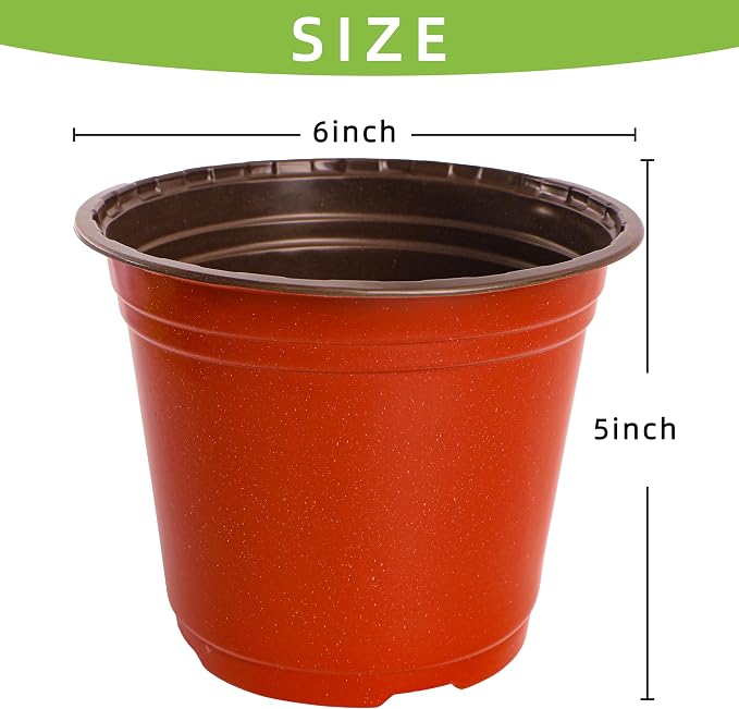 Plant Nursery Pot/Pots 100 Pcs 6" Plastic Small Plants Pots Flower Pots Seed - Image 2