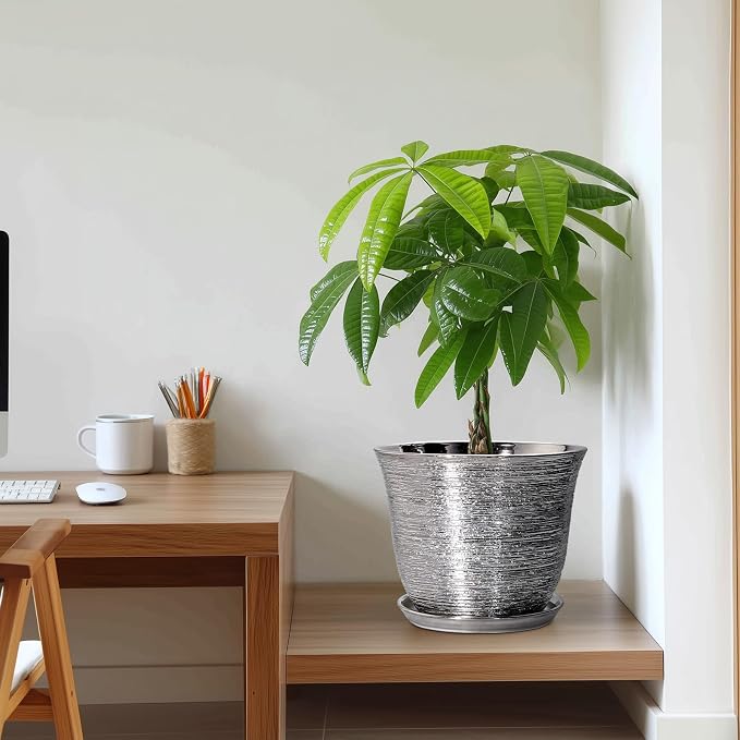 10 Inch Plant Pot - Image 7