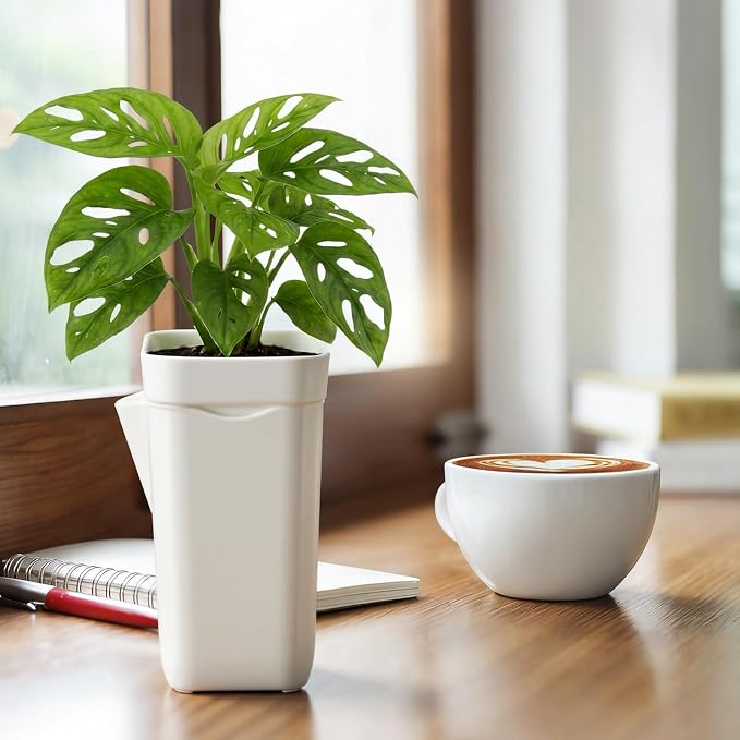 LemonRoad 20 Pack 2" Small Self Watering Pots - Image 6