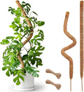 2 Pack 25" Moss Pole, Bendable Moss Pole by Soupiar