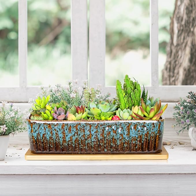 Succulent Pots - 12 Inch Large Succulent Planters - Image 6