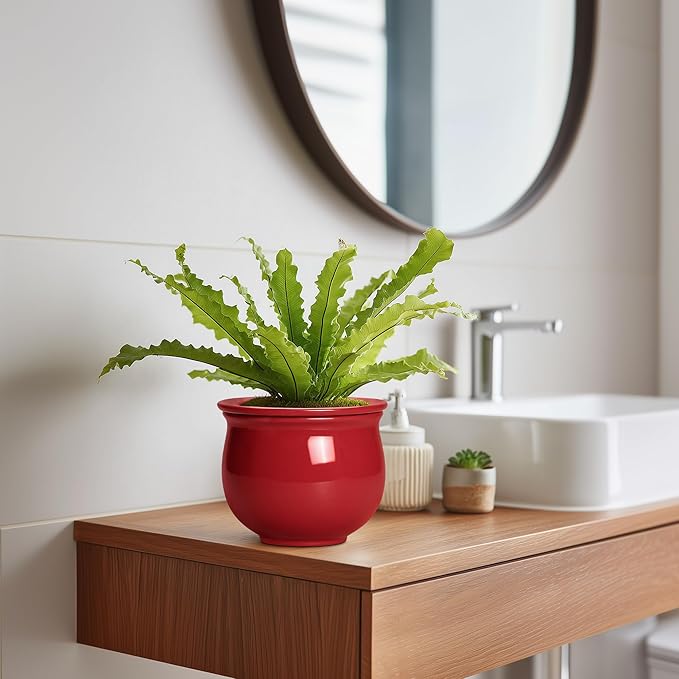 Ceramic Self Watering Planter, 6 Inch African Violet Pots - Image 5