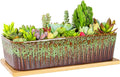 Succulent Pots - 12 Inch Large Succulent Planters by ARTKETTY