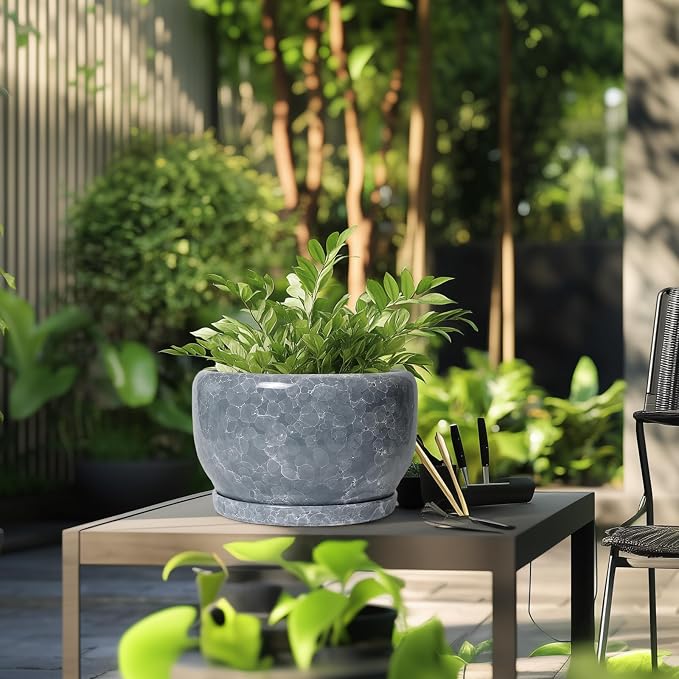 SQOWL Ceramic Pot for Plants - Image 5