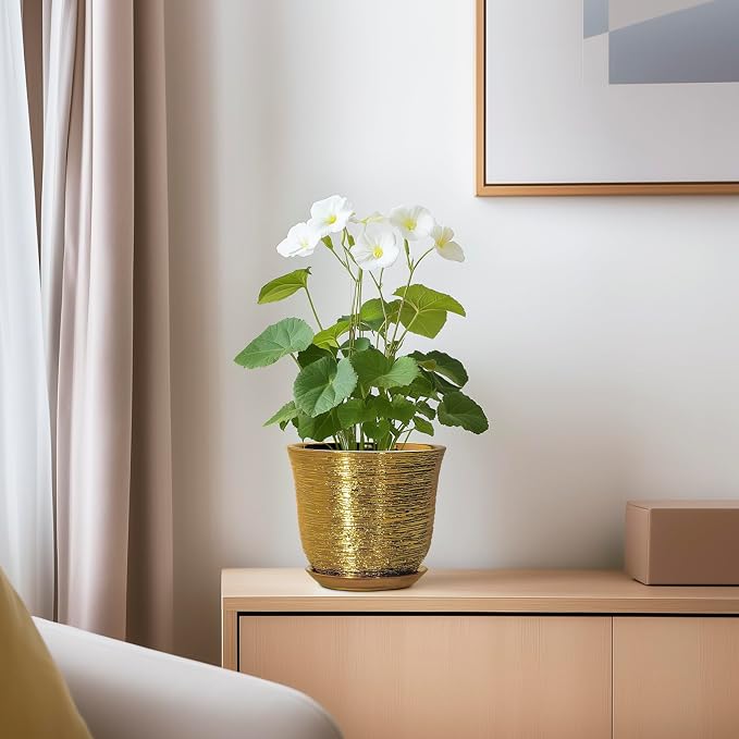 5.6 Inch Plant Pot - Image 6