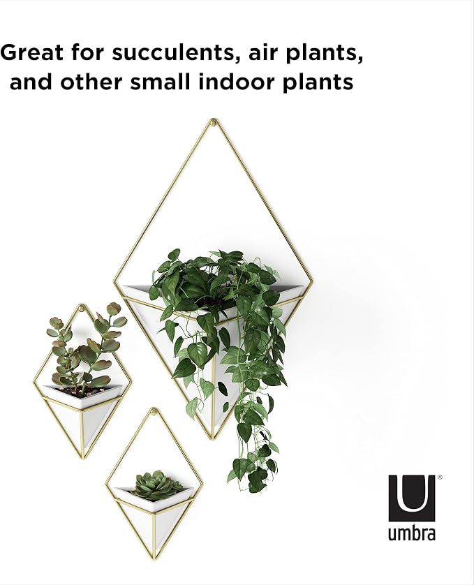 Umbra Trigg Hanging Planter Vase Wall Decor, Faux Plants, and More - Image 7