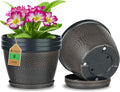 Quarut 4 Pack 8 Inch Flower Pots by Quarut