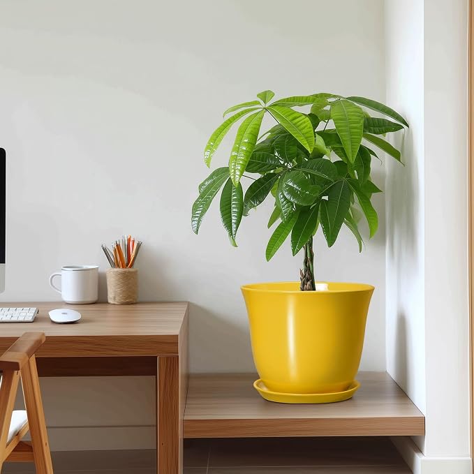 Ceramic Planter - Image 7