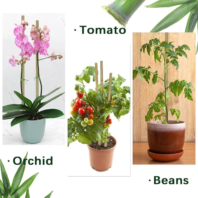 Plant Stakes, 12 Inches Natural Garden Bamboo Sticks, BOVITRO 20Pcs Plant - Image 5