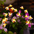 Nacome Solar Garden Lights for Outside – Landscape Decor, Yard Patio Decoration by Nacome