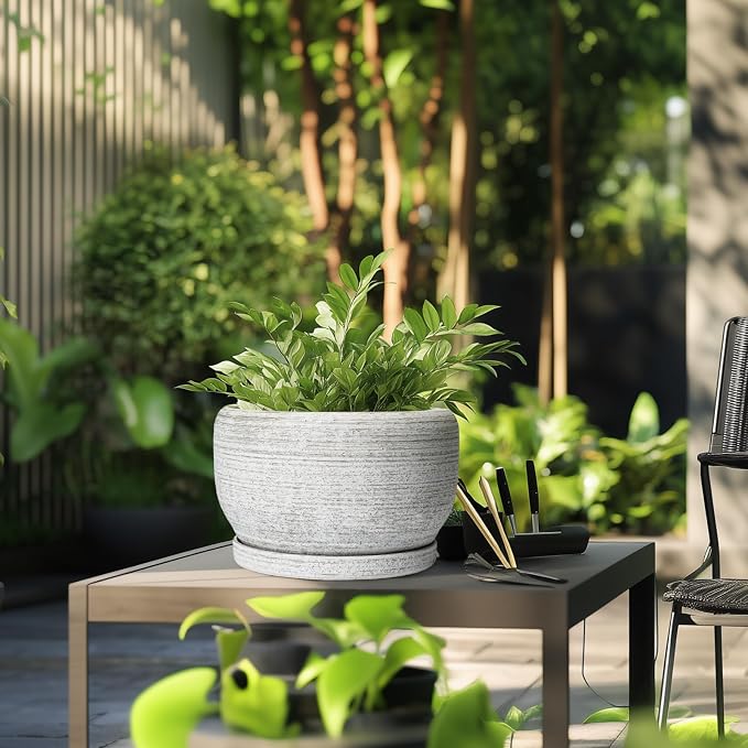 SQOWL Ceramic Flower Pots - Image 5