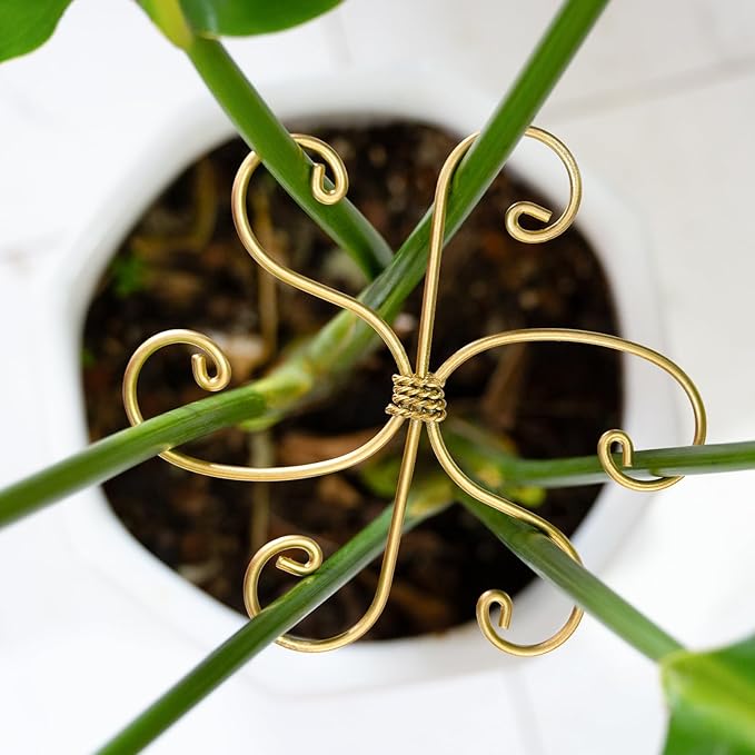 Durable Monstera Plant Support Hooks 5.5in by Yohsnor
