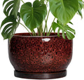 SQOWL Ceramic Flower Pots by SQOWL