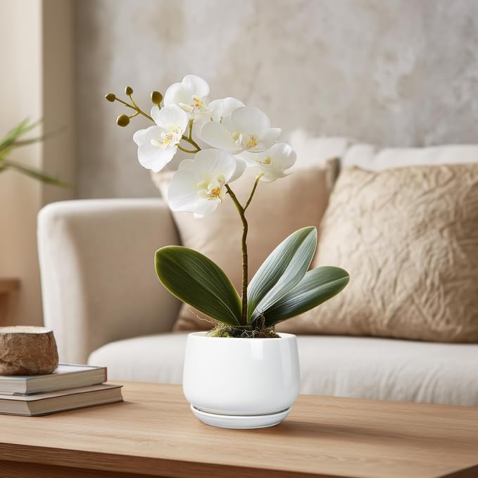 G EPGardening Ceramic Plants Pots - Image 5