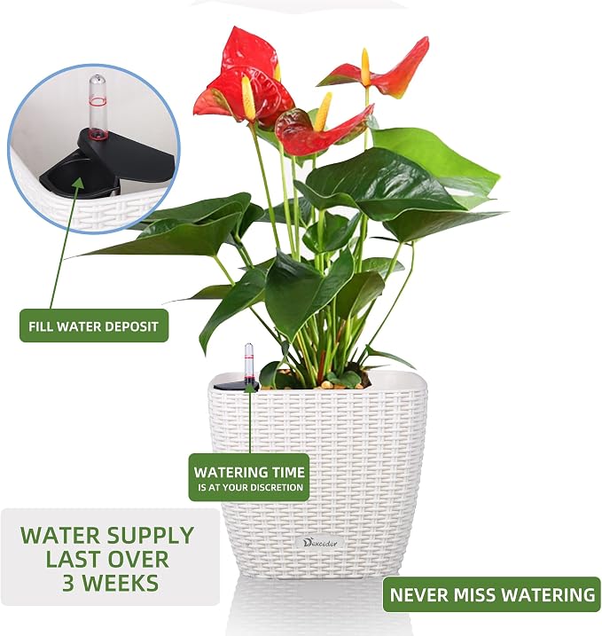 Dexceder 9x8 Self Watering Planter Indoor Outdoor, Inner Mat Design, Thickened - Image 5